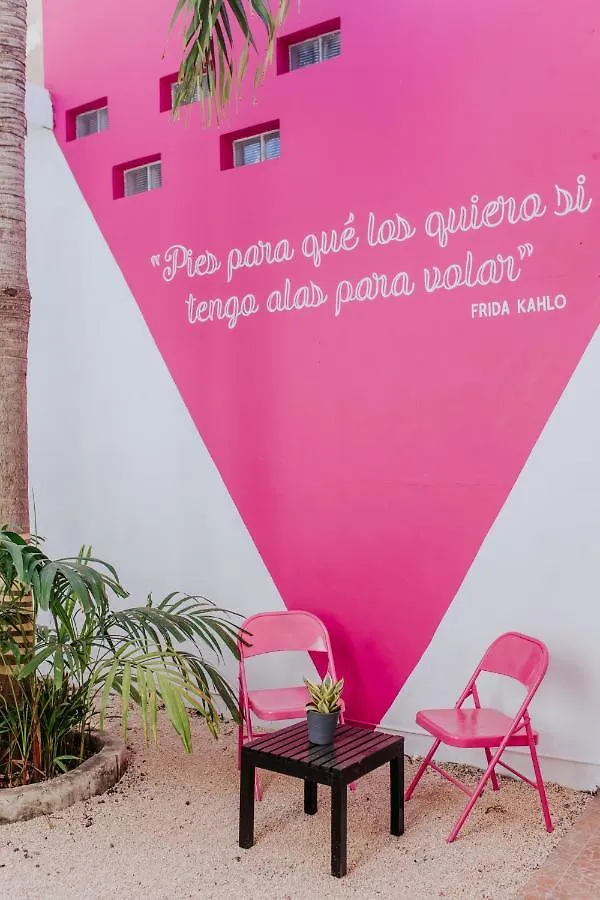 Nikte 412D Bed & Breakfast Merida Mexico